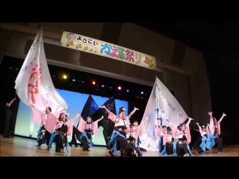 よさこい踊り組み「優心」 かえる祭り　２