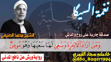 أبو القرّاء الشيخ محمد الصيفي إبداع ( نغمة السيگا ) التلاوة كاملة 👇👇👇