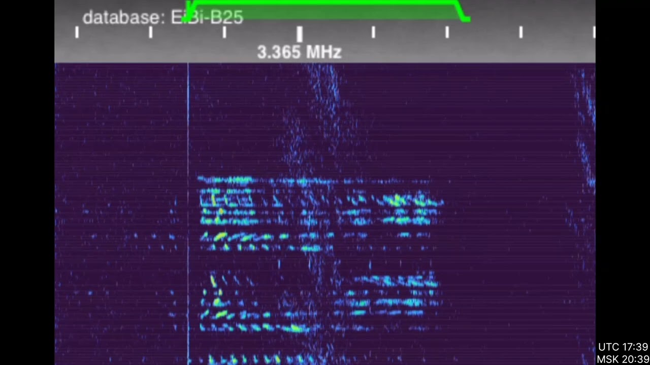 The Squeaky Wheel Dlya voice message on day 26.02.2026