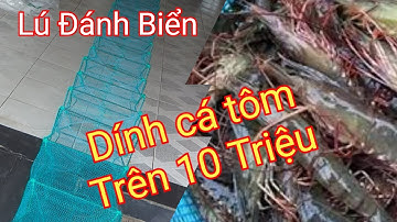 12 cửa ngục khung đánh biển 25 x 40. Dính cá tôm trên chục triệu mỗi ngày