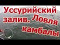 Уссурийский залив,ловля камбалы в приморском крае 2019