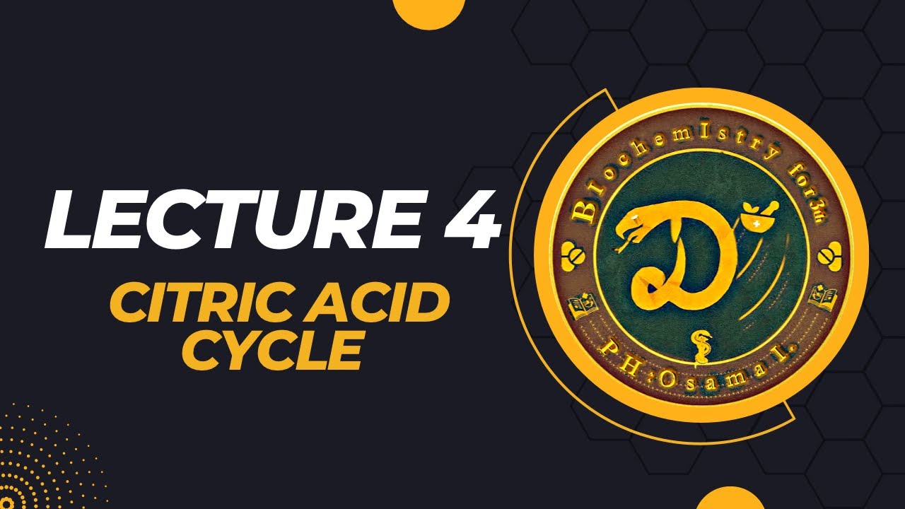 شرح البايوكمستري الوزاري المحاضرة الرابعة الجزء الاول  على المصدر المعتمد/Lec.4 / Citric acid cycle