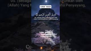 Surah Yasin  amalamjumat lantunanayatsucialquran kontenislami qurantilawatviral