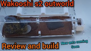 WAKOOSHI S2 OUTWORLD REVIEW AND BUILDING (new ants)