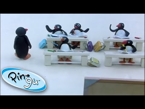 Pingu And Friends At School Pingu 1 Hour Cartoons For Kids