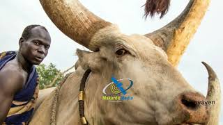 Malek Dau-anyueeny (aka Sadam) Dergel Collection (2024).