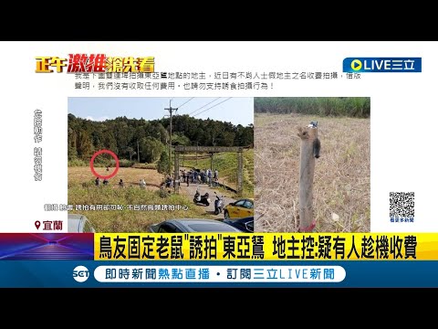 鳥友固定老鼠"誘拍"東亞鵟! 地主控:疑有人趁機收費  誘拍行為觸刑責!為拍美照餵食誘拍 最高開罰30萬│記者 黃國瑞 溫有蓮│【LIVE大現場】20230314│三立新聞台