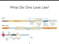 Replication of DNA Virus Genomes (Lecture 7)