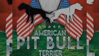 You Bully Lovers Should Be Bowing Down Apbt