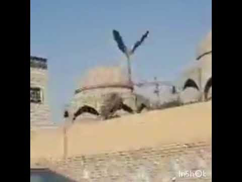 فؤاد سالم ..أعتب على الشوك ...