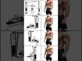 Maximize your aems by these exercises #fitness #workout
