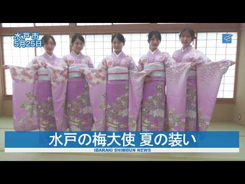 水戸の梅大使 夏の装い