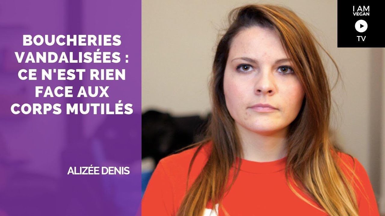 La violence n'est pas dans notre camp - Alizée Denis (IamVegan.TV)