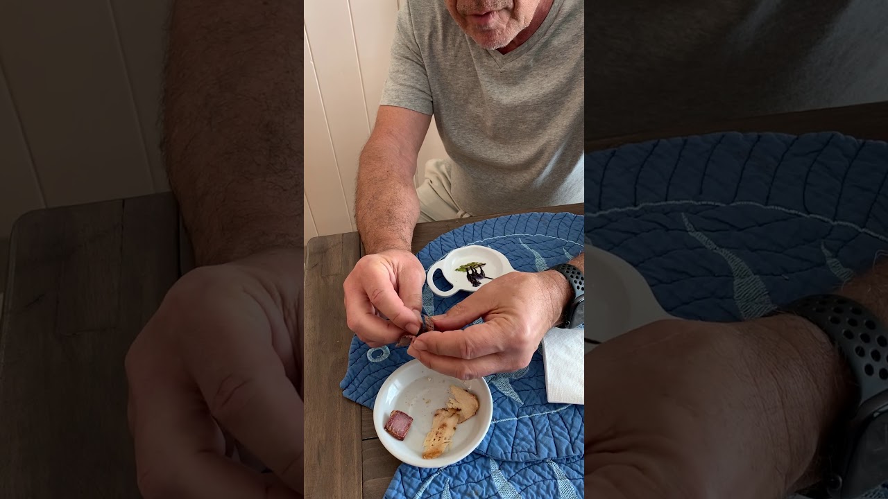 Giving your dog pills the fun and easy way YouTube