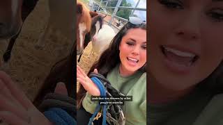 Katie Van Slyke Karen & Regina got their cardio for the day!🐴 roundpen minihorse minihorse minimare  Net Worth