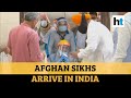 11 Afghan Sikhs reach India, claim persecution; one recounts Taliban abduction