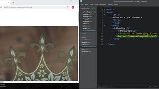 Celebrity Inline vs block elements | HTML tutorial for Beginners | LECTURE 7 Profile