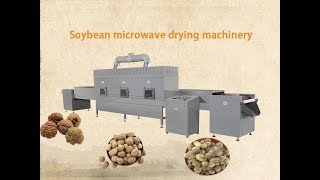 Soybean microwave drying machinery