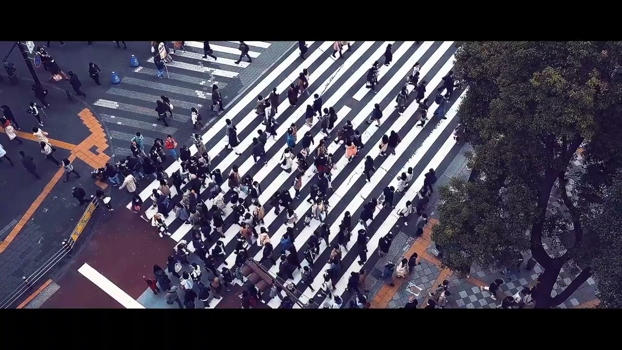 NYÄE NYAE & Sam Adler - The Flow [Official Video]