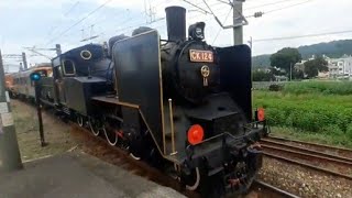 蒸氣火車！！台鐵8788次CK124蒸機試運轉,  二水進出站