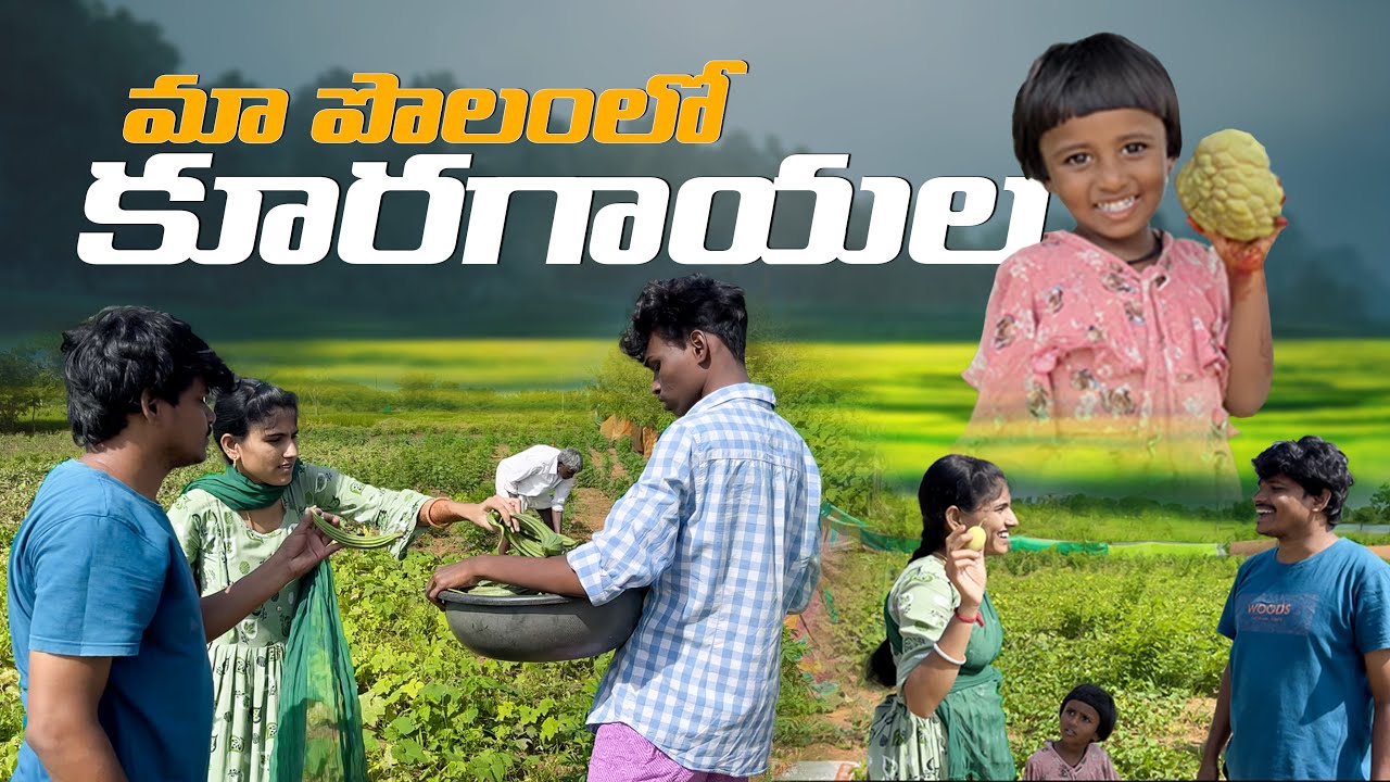 కూరగాయలు తెంపవోతే || Vlog || Pathangioriginals