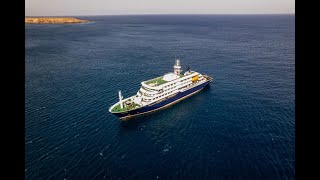 Trois morts sur un bateau de croisière, victimes d'un hantavirus "rare"