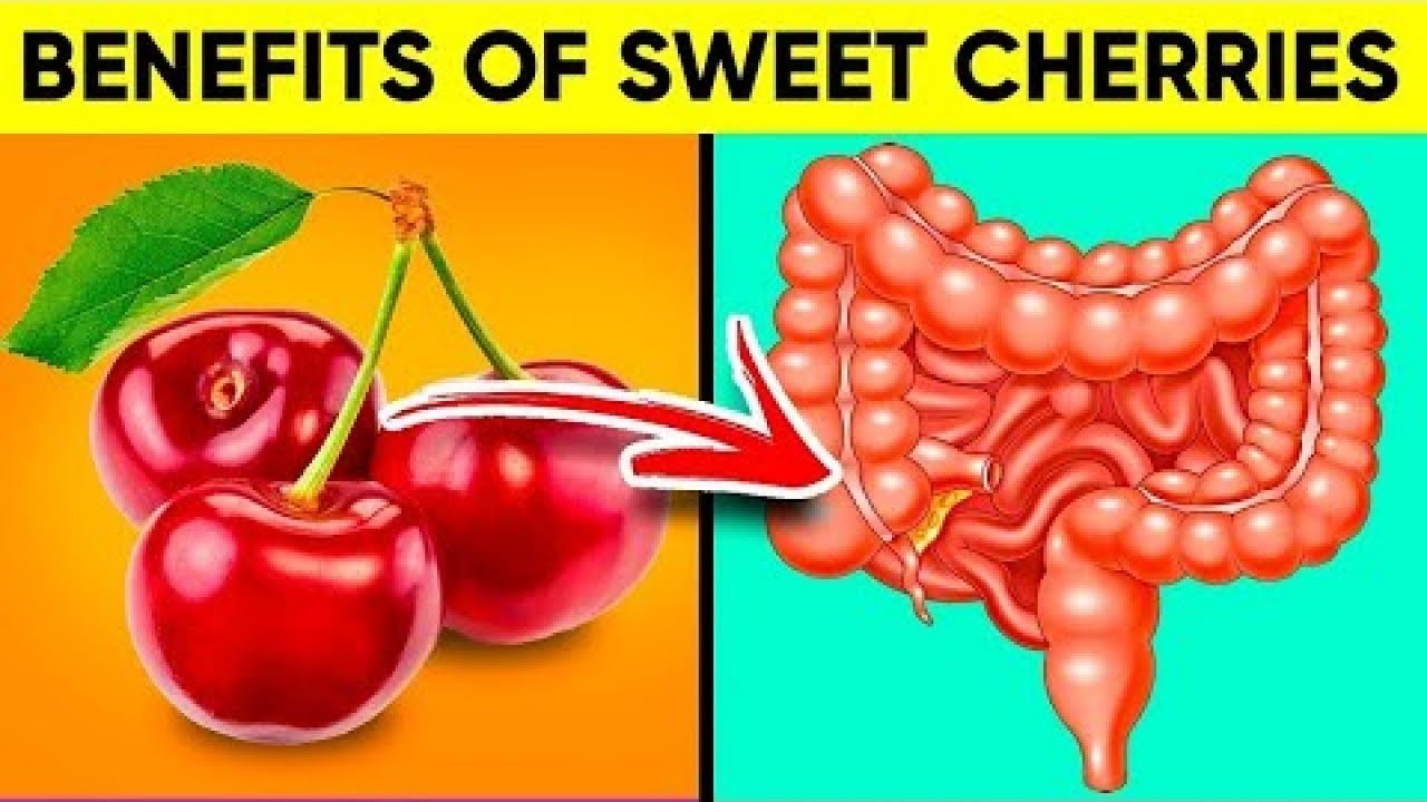 What Will Happen If You Start Eating Sweet Cherrie Every Day Benefits