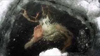 Kevin Macleod Ice Demon Earrape