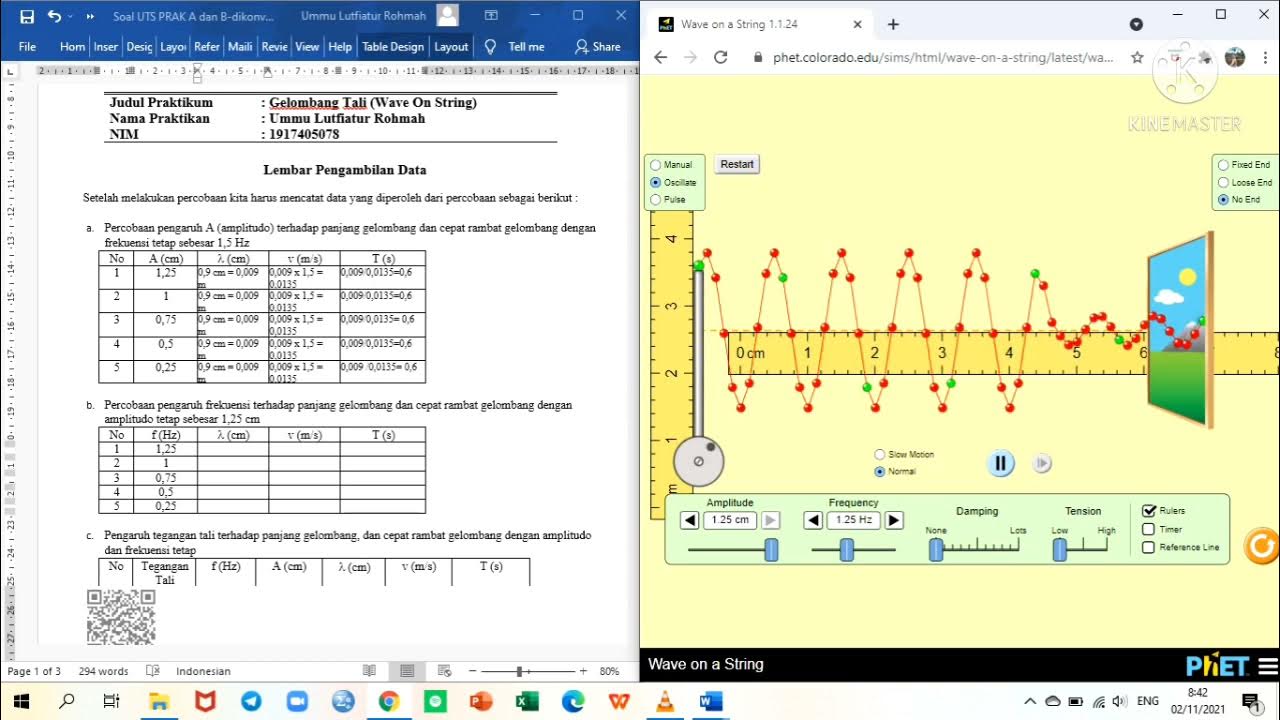 PRAKTIKUM "WAVE ON A STRING (GELOMBANG TALI)" MENGGUNAKAN APLIKASI PHET