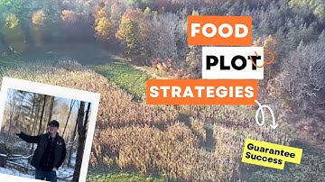 Advanced Food Plot Strategies That Guarantee More Success
