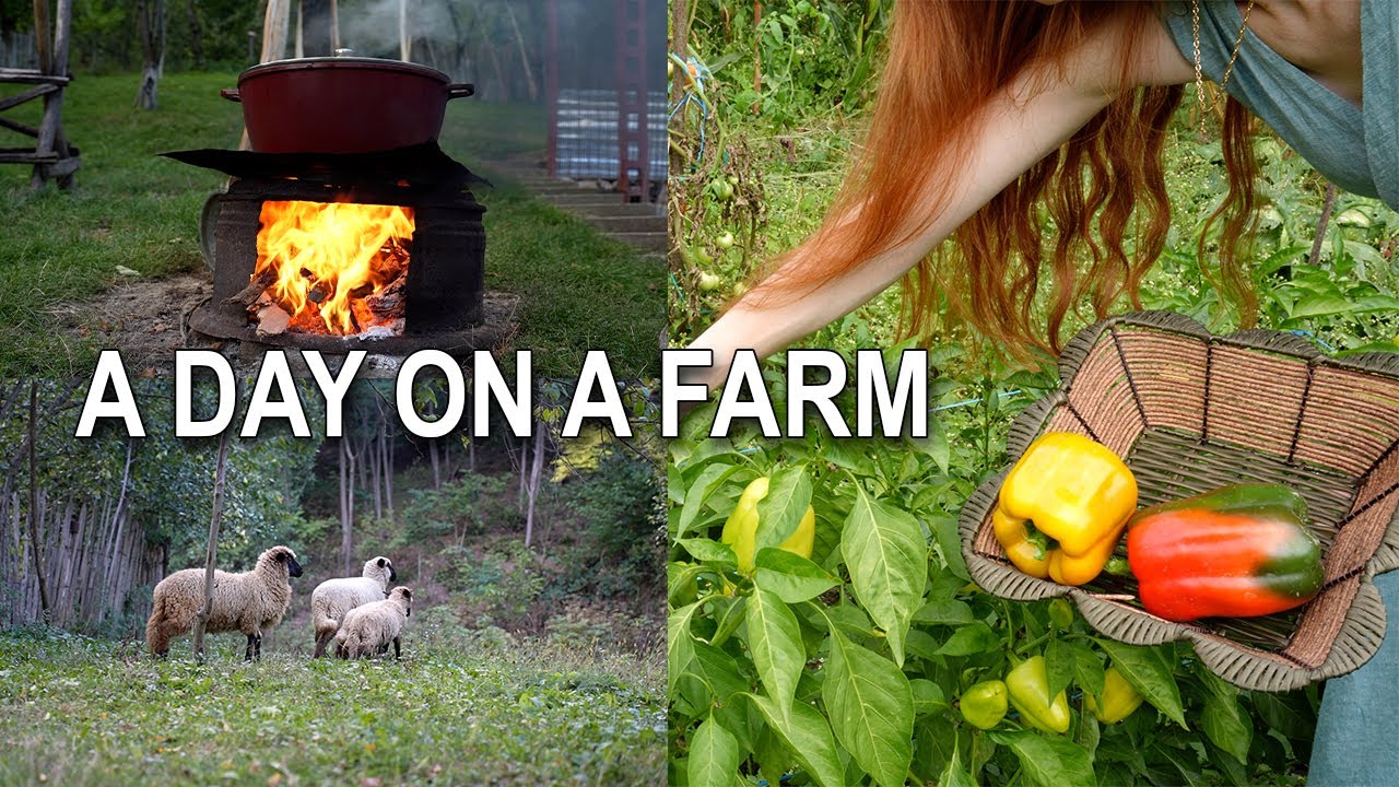 How I heat a remote farm with just firewood | Slow Countryside Life