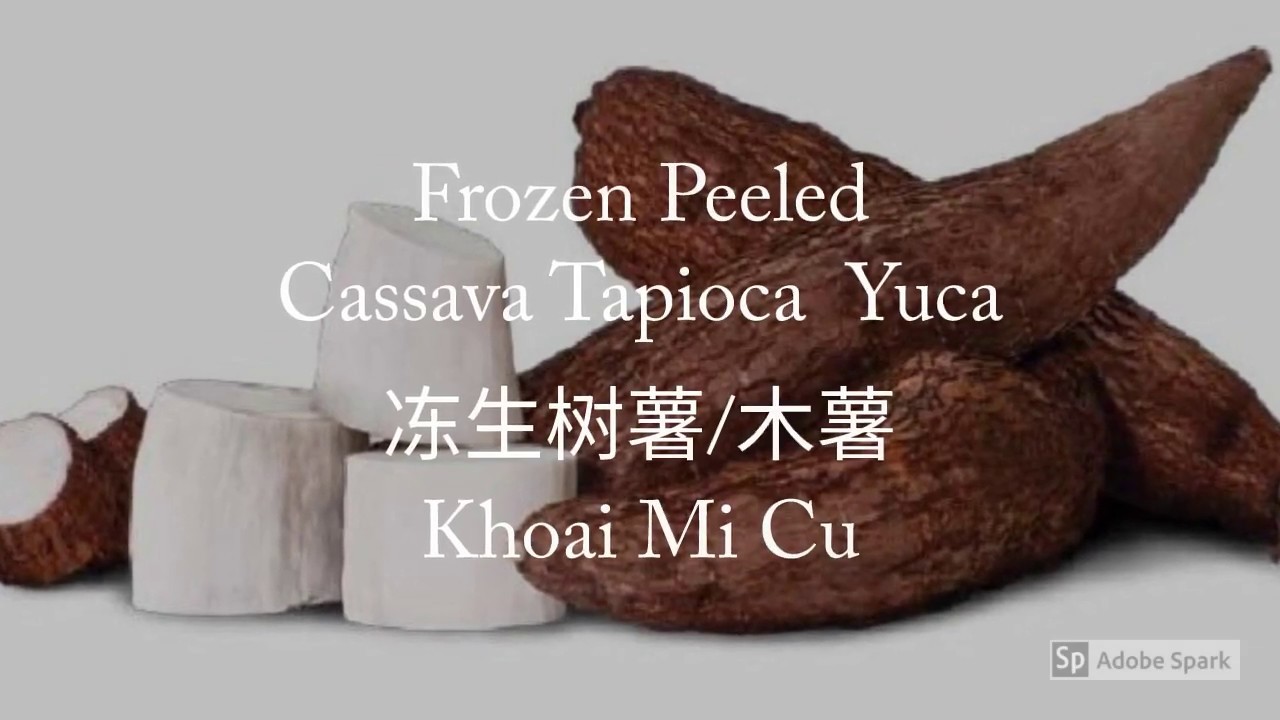 Frozen Peeled Cassava Tapioca Yuca YouTube