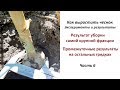 Выращиваем чеснок. Эксперименты и результаты. Часть 6