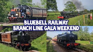 42 Minutes of pure Steam Train action at Bluebell Railway, Branch Line Gala Weekend 10-12/05/24