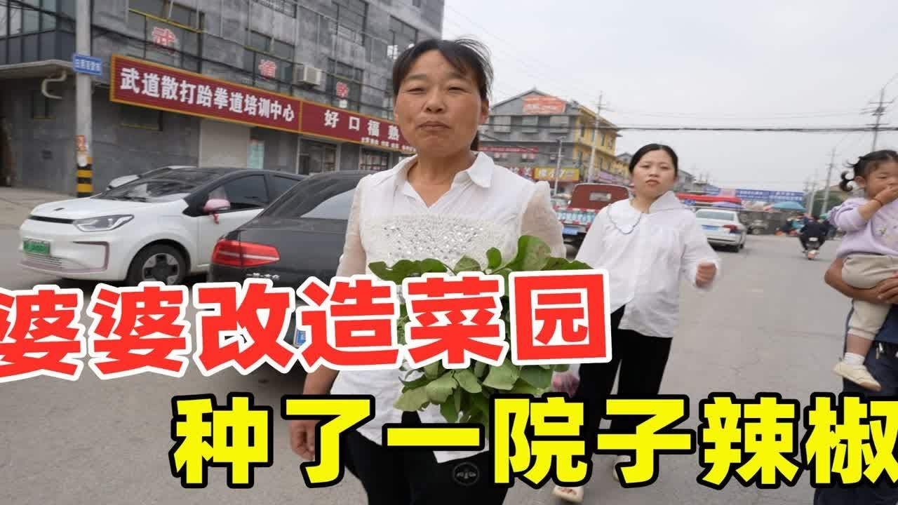 婆婆贪便宜买50棵菜秧，1毛钱一棵，种了一院子，你说能种活吗？