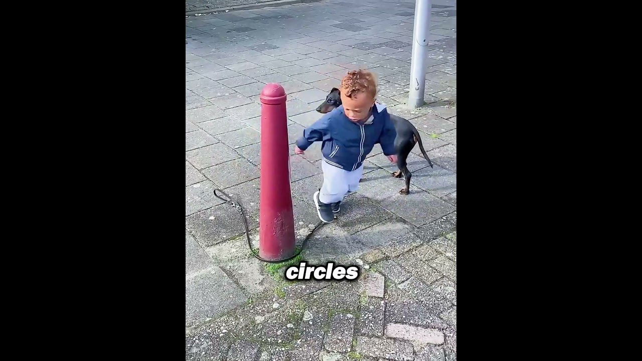When His Rope Dropped, This Boy Stopped