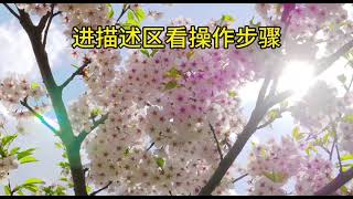 怎么强制进入别人的QQ空间（加密的）如何进入qq好友已加密的QQ空间