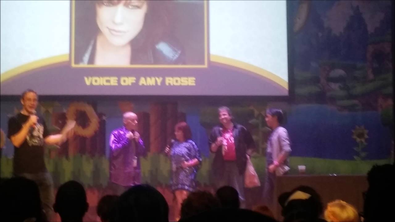 Sonic's 25th Anniversary Party Slideshow