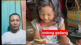 Download Lagu gendis si bocah yang cantik dan sangat lucu #lucu #ngkak #funny #seharianlucu #comedy  MP3