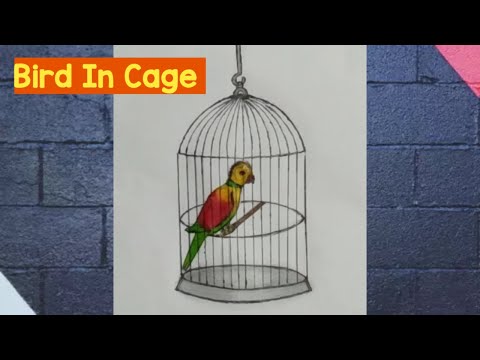 How To Draw A Bird In Cage Step By Step, With Pencil And Colour