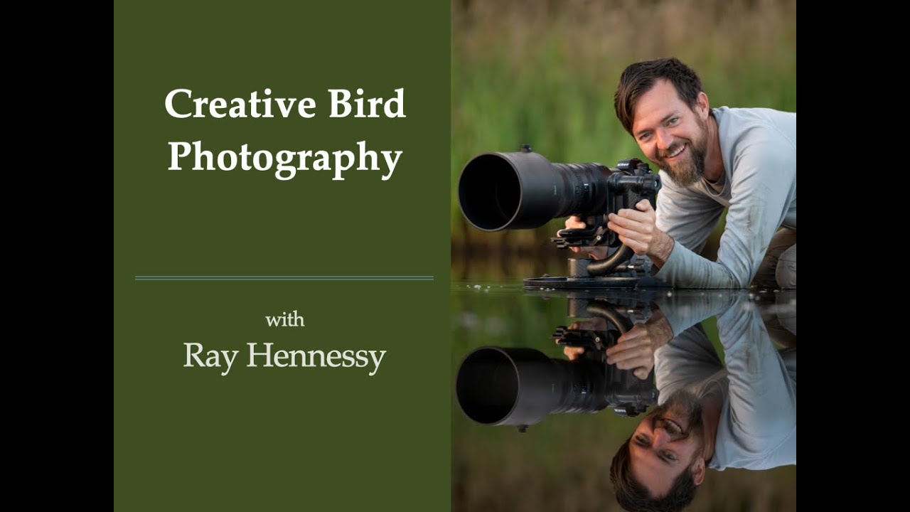 Session 260:  Creative Bird Photography with Ray Hennessy