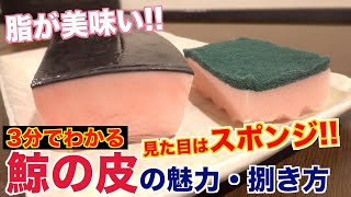 【超希少】鯨の本皮の魅力と捌き方