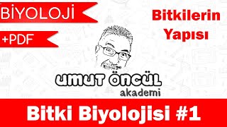 Biyoloji | AYT | Bitki Biyolojisi #1 |  PDF