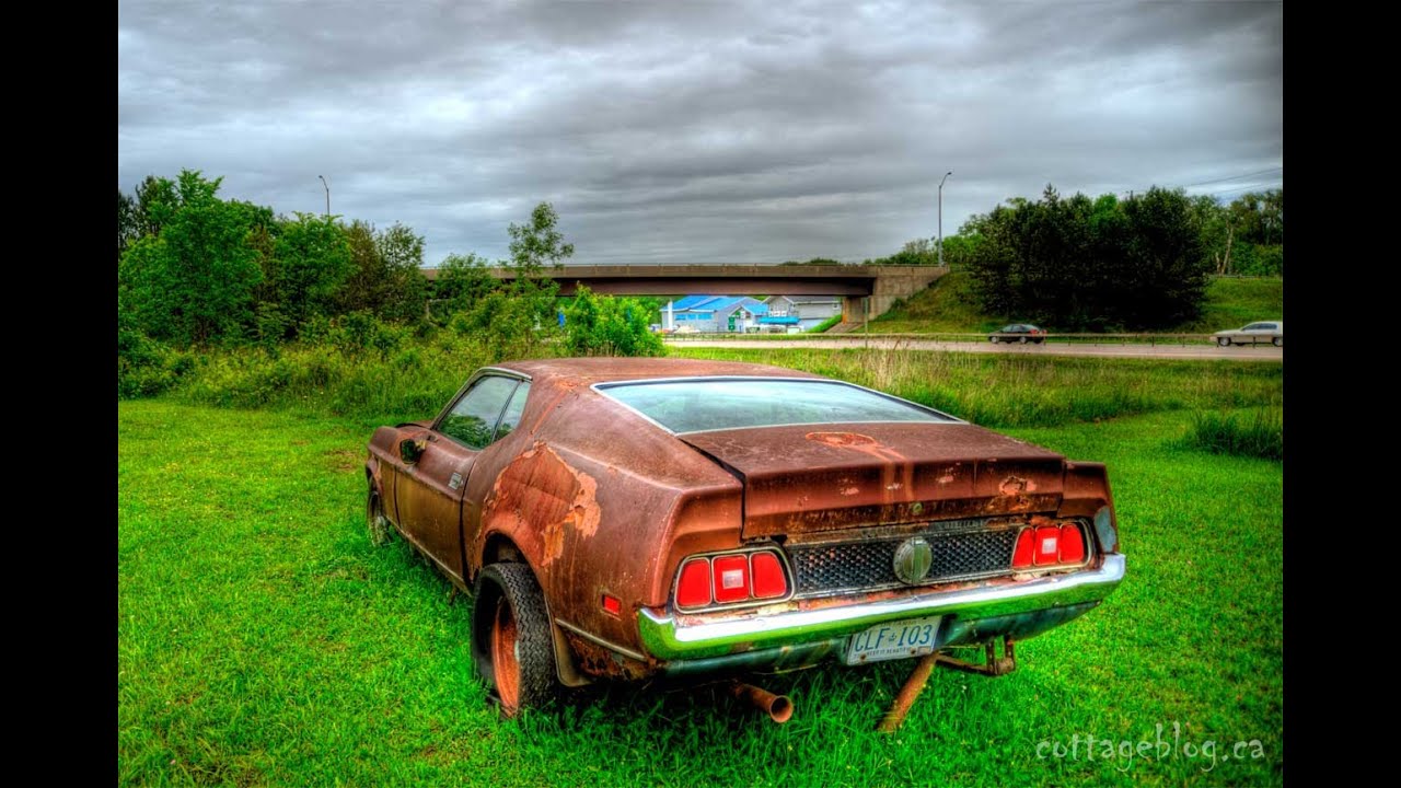 Mustang Abandonados camera iphone 8 plus apk