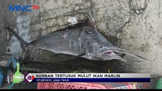 Nelayan di Situbondo Tewas Tertusuk Ikan Marlin Seberat 50 Kg #LintasiNewsMalam 05/10