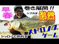 早春の巻き展開!!ハマれば激熱!!シャローで釣れるストロングゲーム