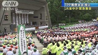 TPP重要5項目の順守求め　JA全中が緊急集会(14/05/14)
