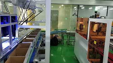 Automatic Soft Bag Pick and Place Packing Machine
