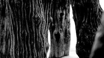 Tristan Sker - Sand Trees [Official video]