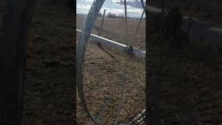 Video of wheel lines Lots 151 and 152